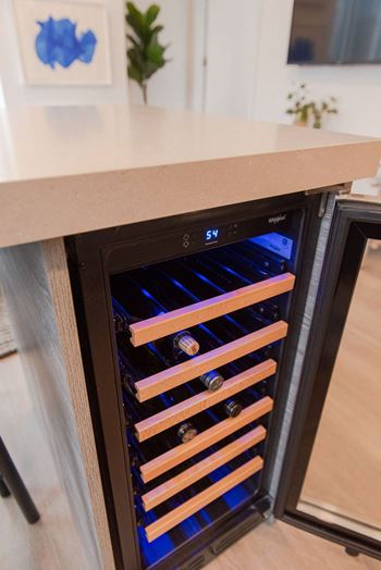 Integrated Wine Fridges